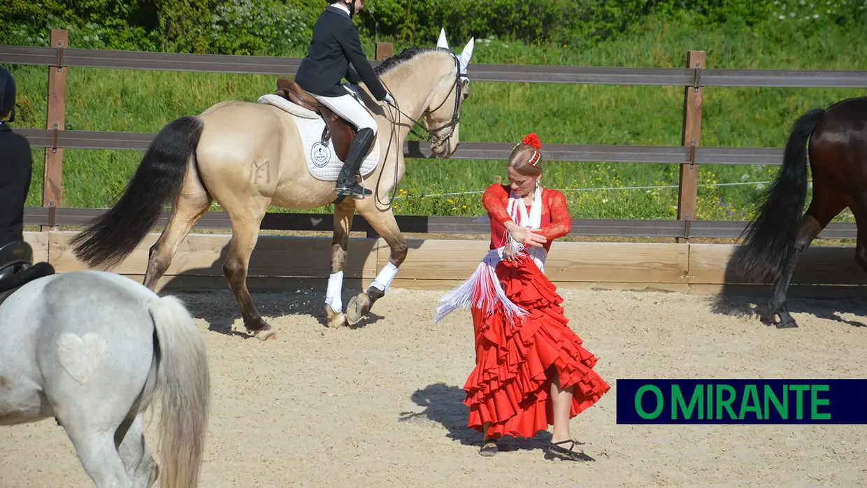 Cavalos e dança juntos na primeira Gala Equestre de Vila Franca de Xira