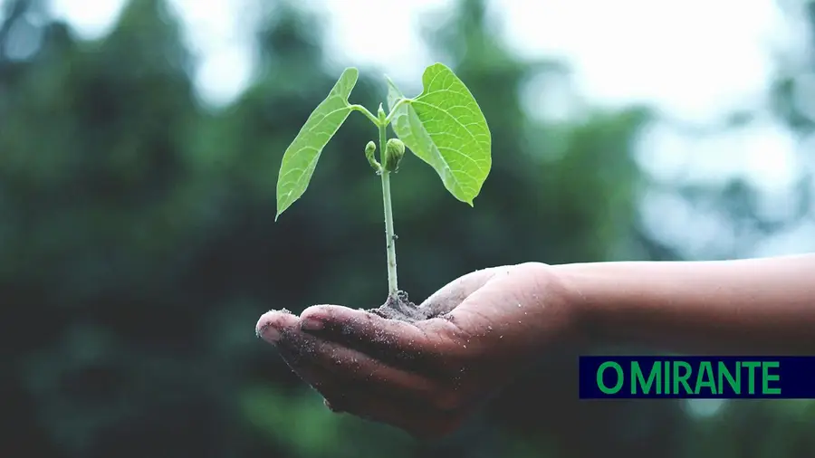 Dia da Terra assinala-se hoje para defender preservação dos recursos naturais Dia da Terra assinala-se hoje para defender preservação dos recursos naturais