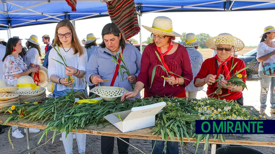 Apanha da Espiga na semana da Ascensão promovida pela Junta da Chamusca Apanha da Espiga na semana da Ascensão promovida pela Junta da Chamusca