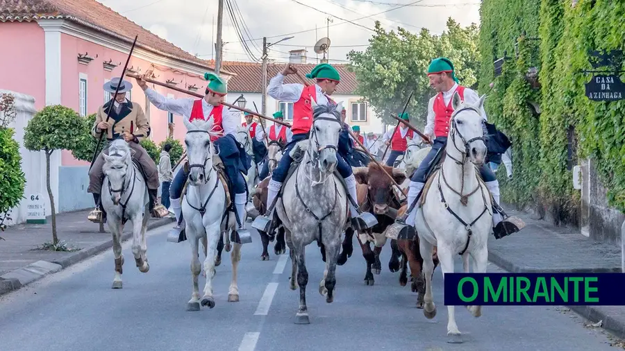 Primeira edição do Festival do Campino na Azinhaga foi um sucesso