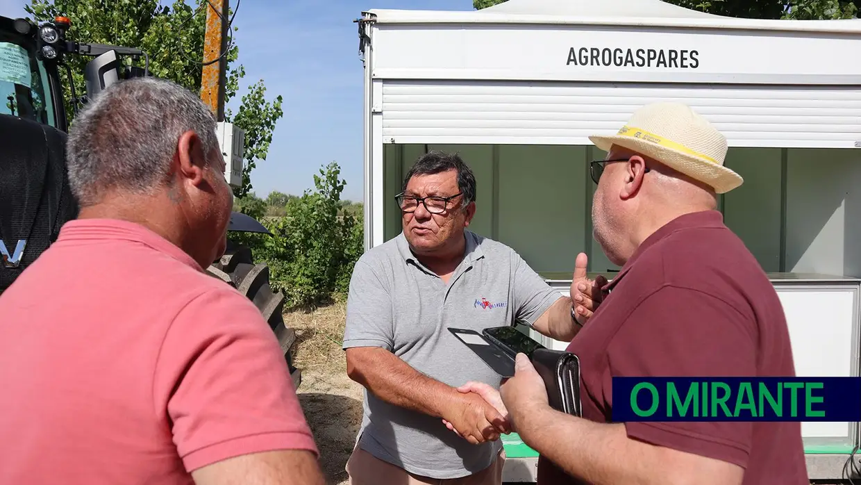 Feira de Magos em Salvaterra até ao próximo domingo