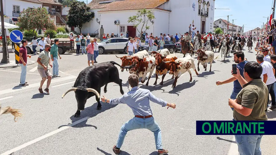 Quinta-feira da Ascensão é o dia mais importante do ano no concelho da Chamusca