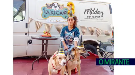 TáxiCão Mildog celebrou o seu terceiro aniversário