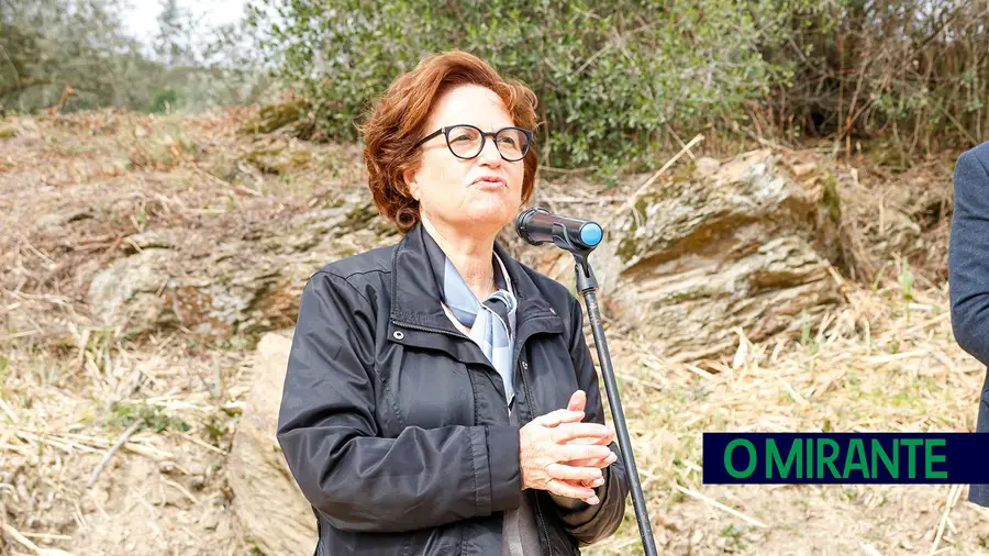 CCDR Centro promove captação de investimento territorial CCDR Centro promove captação de investimento territorial