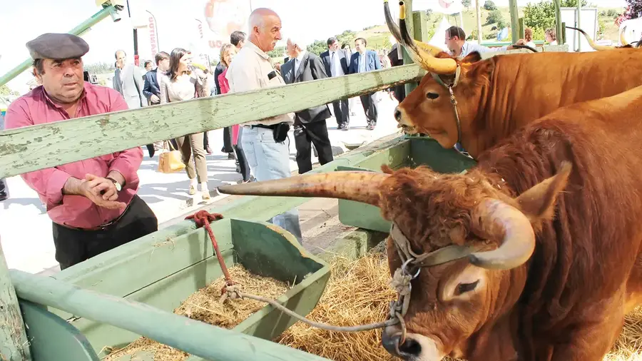 Feira Nacional da Agricultura com pecuária extensiva em destaque