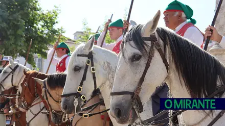 Momento alto da Feira de Maio em Azambuja é a homenagem ao campino