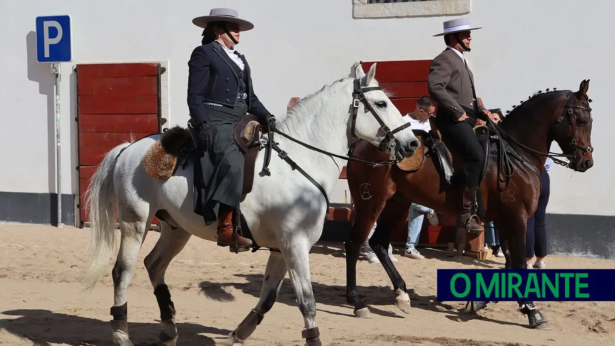 Momento alto da Feira de Maio em Azambuja é a homenagem ao campino