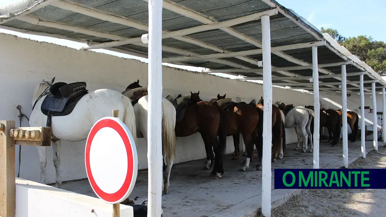 Evento anual reúne 30 alunos do Centro Hípico de Vila Franca de Xira