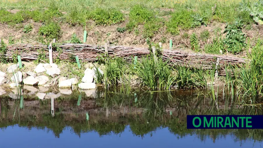 Reabilitação dos rios Alviela e Centeio com técnicas de engenharia natural