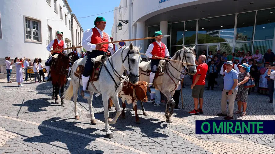 Campinos e gado no centro de Santarém na manhã de sábado