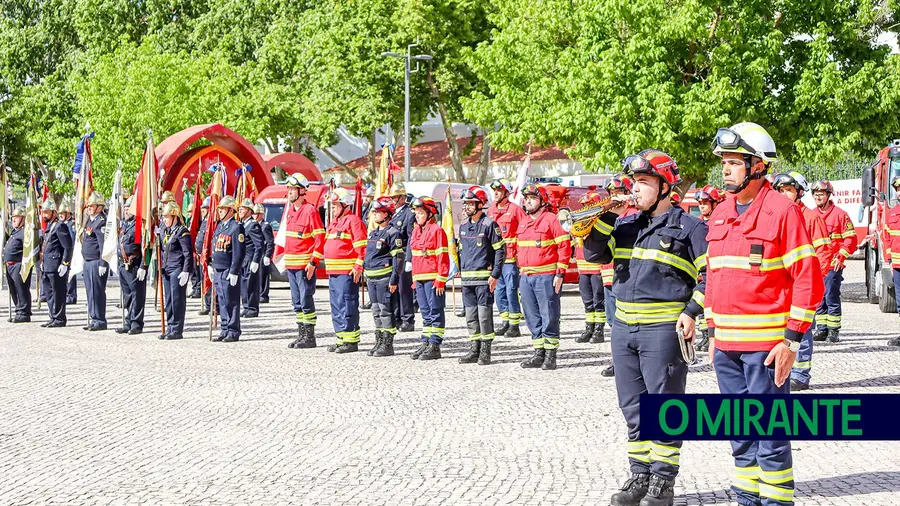 Combate a incêndios com mais de 470 meios terrestres na Lezíria do Tejo Combate a incêndios com mais de 470 meios terrestres na Lezíria do Tejo