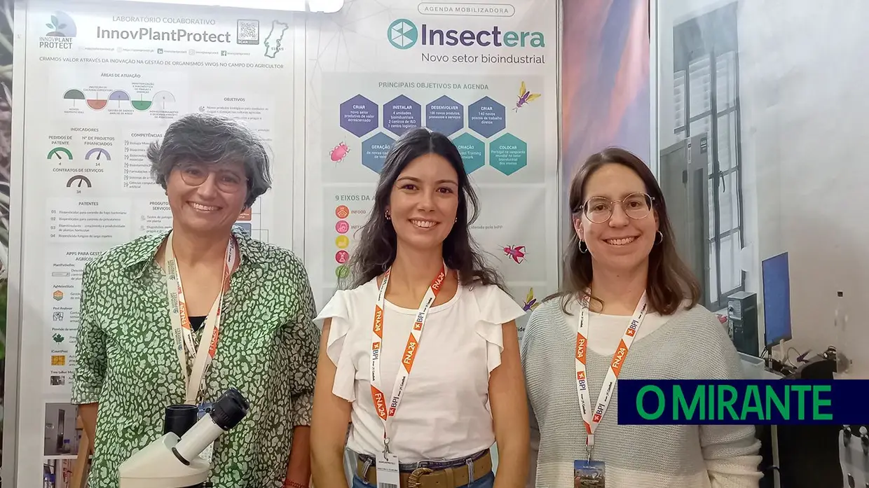 Empresários na Feira de Agricultura