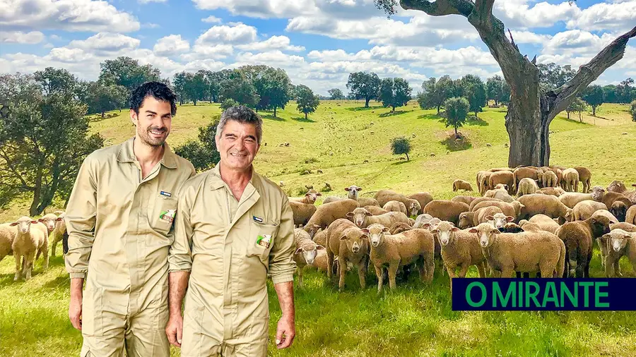 Imagem de marca da Martins & Constantino é o rigor e o bem estar animal Imagem de marca da Martins & Constantino é o rigor e o bem estar animal
