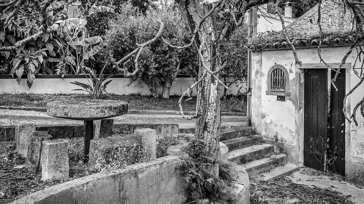 Concurso de fotografia “Um olhar sobre a Chamusca e Pinheiro Grande” já tem vencedores