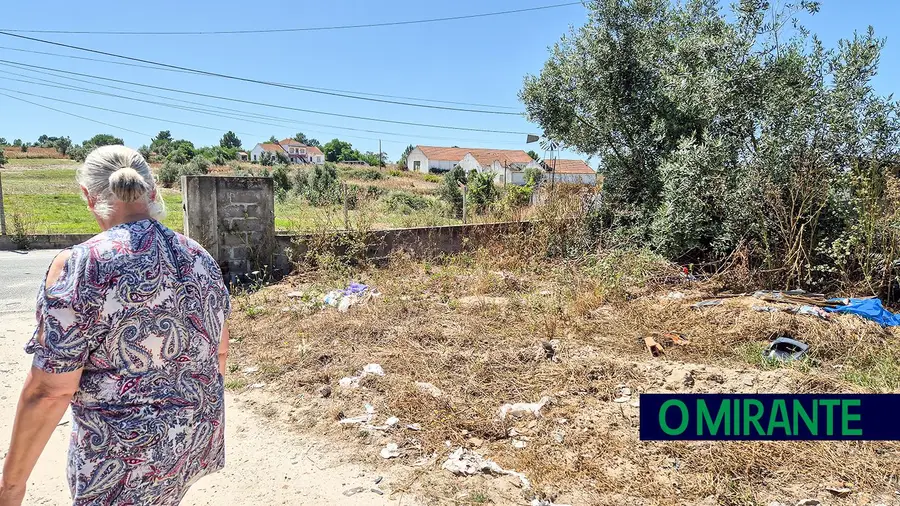 Moradora de Coruche queixa-se de ver a sua propriedade transformada numa lixeira Moradora de Coruche queixa-se de ver a sua propriedade transformada numa lixeira