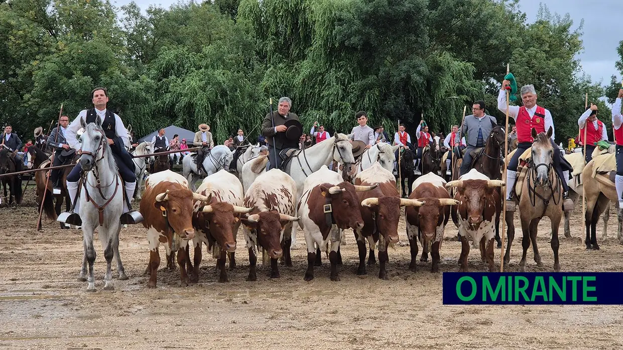 Homenagem ao campino foi momento emotivo na Festa da Amizade em Benavente