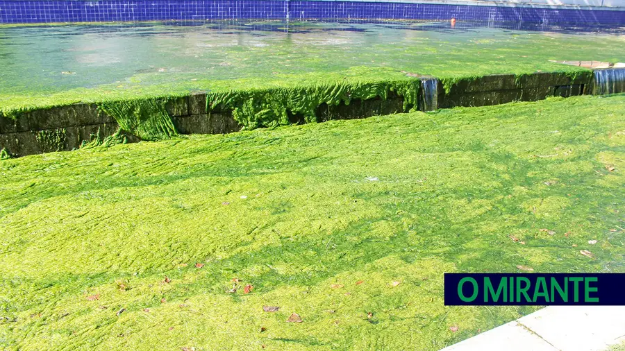 Políticas verdes levadas ao extremo Políticas verdes levadas ao extremo
