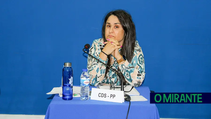 Comissões da Assembleia de Freguesia de Vialonga andam a trabalhar para o boneco