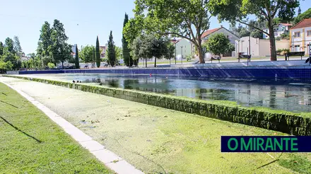Barquinha Parque fechado devido a queda de árvores