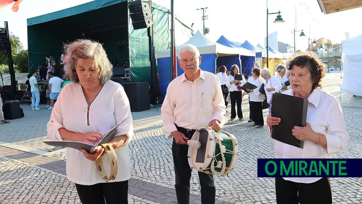 Artével para apreciar até domingo em Pontével