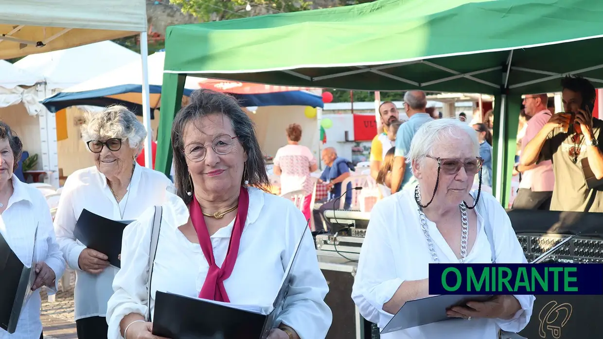 Artével para apreciar até domingo em Pontével
