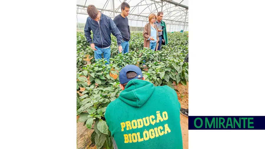 ESAC oferece novas licenciaturas em Agronomia e Zootecnia ESAC oferece novas licenciaturas em Agronomia e Zootecnia