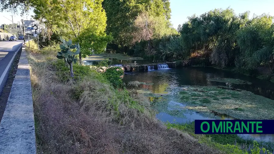 Autarca denuncia descargas para ribeira afluente do Nabão em Tomar Autarca denuncia descargas para ribeira afluente do Nabão em Tomar