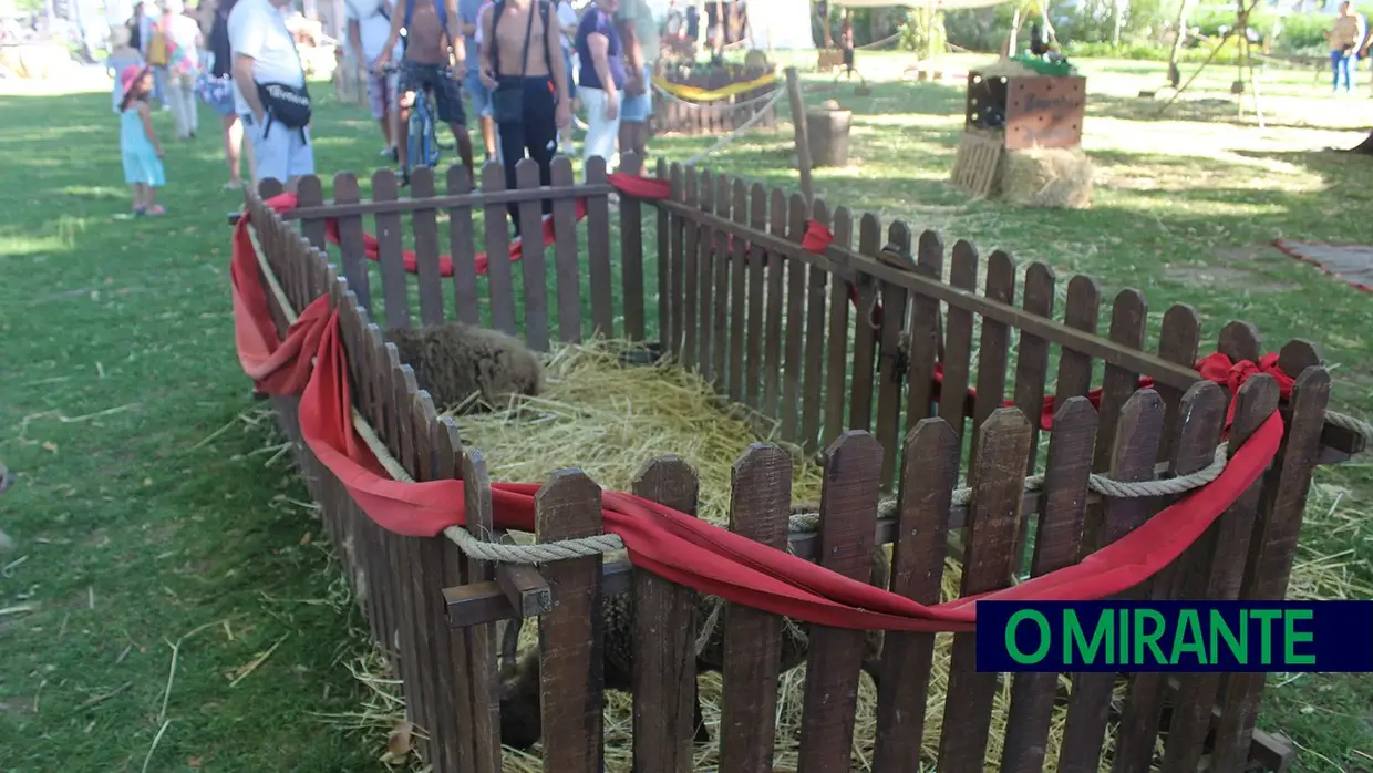 Já arrancou a Festa Templária em Tomar