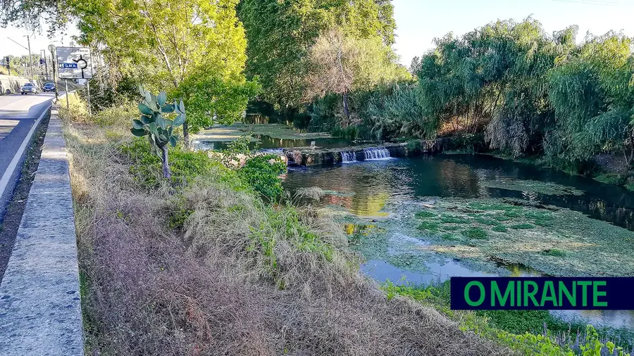 Autarca de Tomar denuncia descargas para ribeira afluente do Nabão