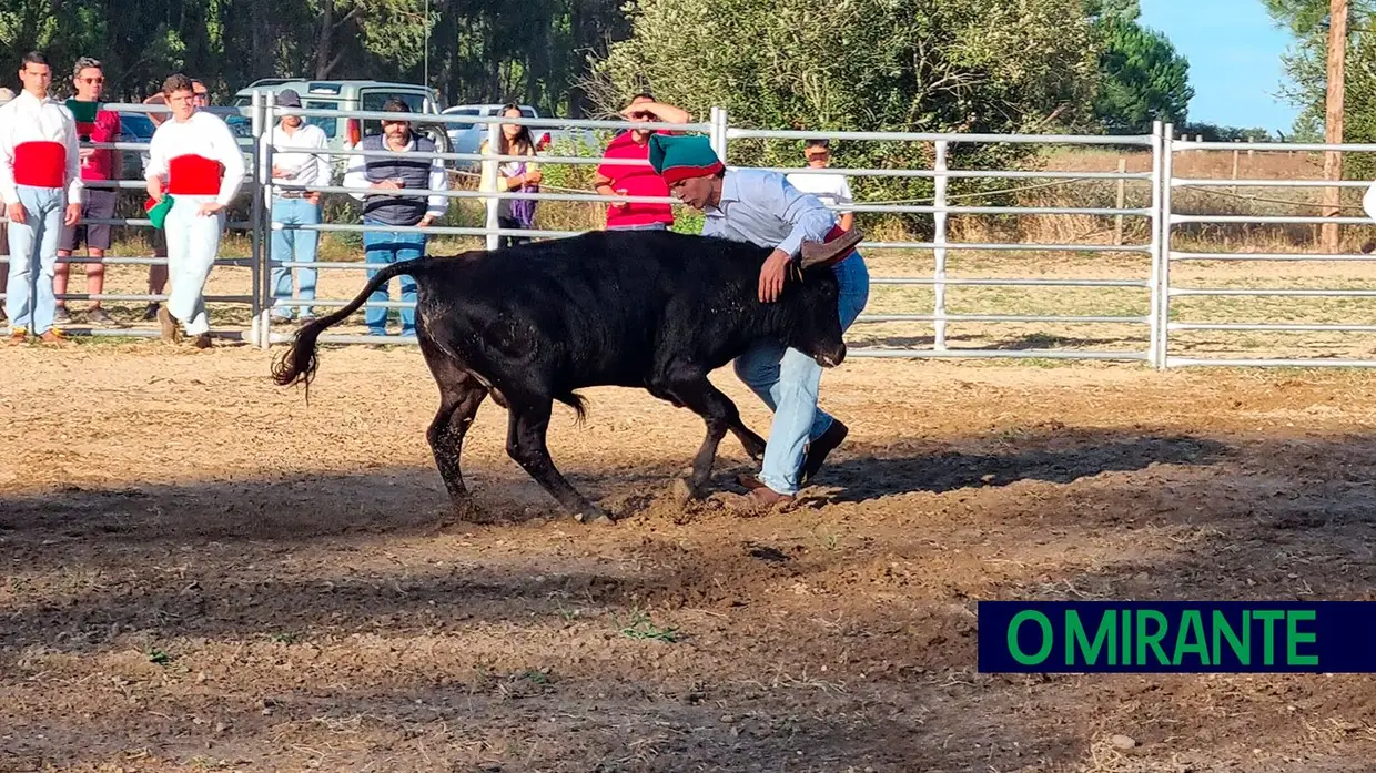 As melhores imagens da edição 2024 do Sorraia Fest