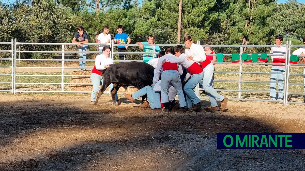 As melhores imagens da edição 2024 do Sorraia Fest