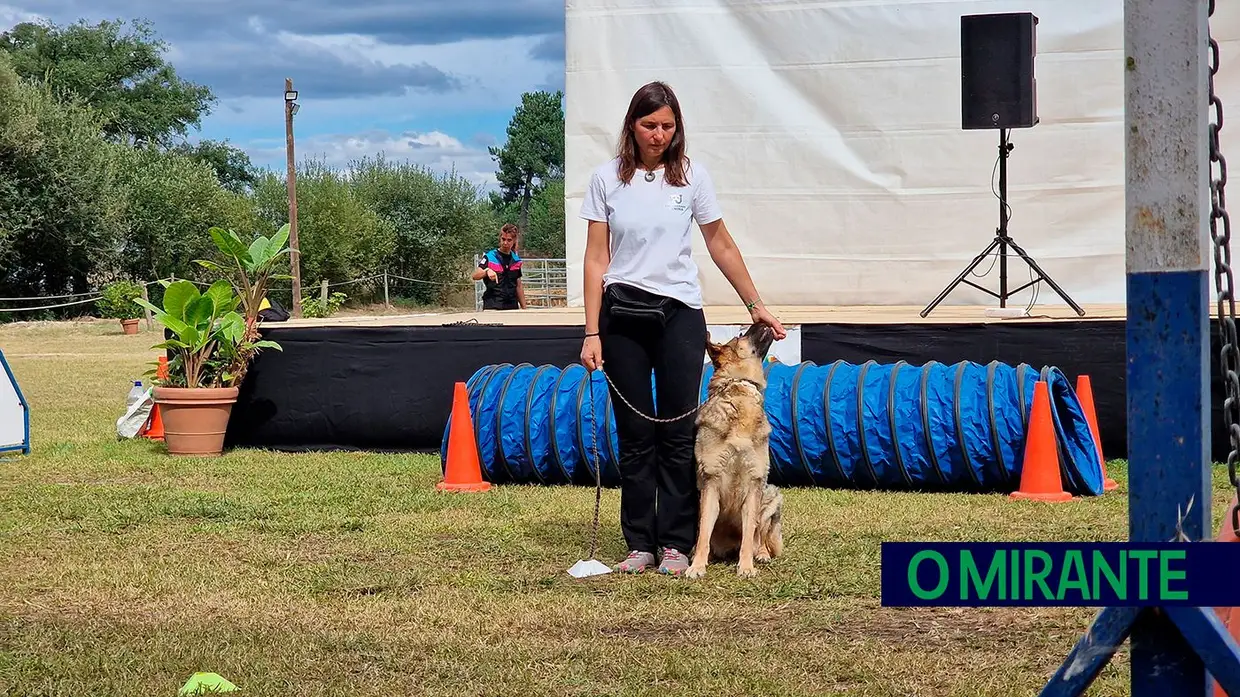 As melhores imagens da edição 2024 do Sorraia Fest