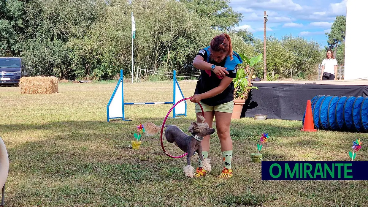 As melhores imagens da edição 2024 do Sorraia Fest