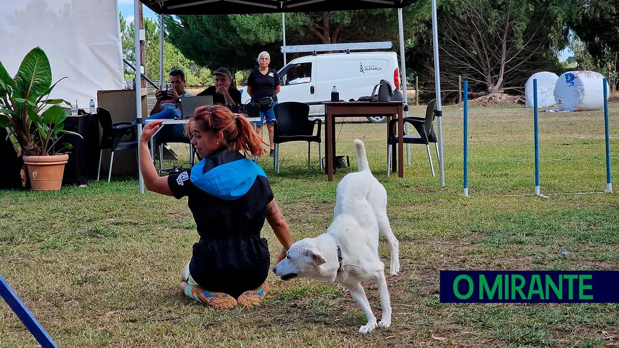 As melhores imagens da edição 2024 do Sorraia Fest