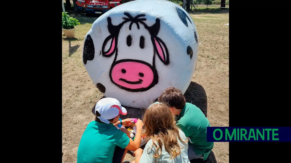 As melhores imagens da edição 2024 do Sorraia Fest