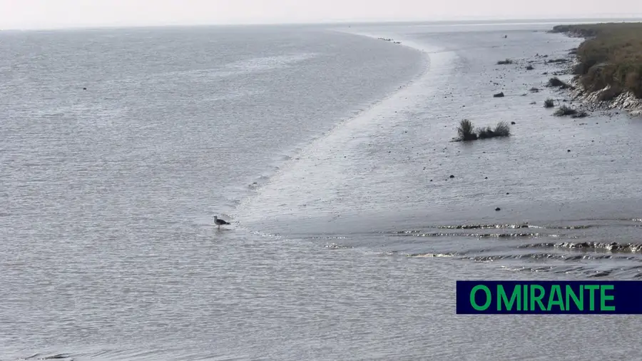 Reserva Natural do Estuário do Tejo é uma mais valia económica e ambiental às portas da capital Reserva Natural do Estuário do Tejo é uma mais valia económica e ambiental às portas da capital