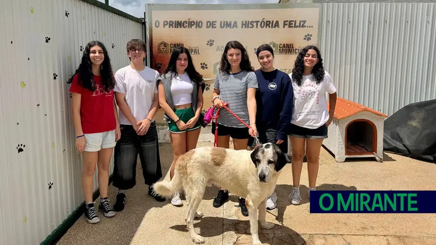 200 jovens de todo o mundo participam em projectos de Verão da associação H2O 200 jovens de todo o mundo participam em projectos de Verão da associação H2O