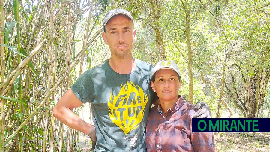 Assalto no Tramagal deixa proprietários agrícolas com prejuízo de 10 mil euros Assalto no Tramagal deixa proprietários agrícolas com prejuízo de 10 mil euros