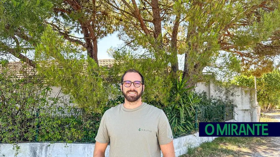 Celtis Tree Care faz avaliações de queda de árvores e fitossanitárias em todo o país Celtis Tree Care faz avaliações de queda de árvores e fitossanitárias em todo o país