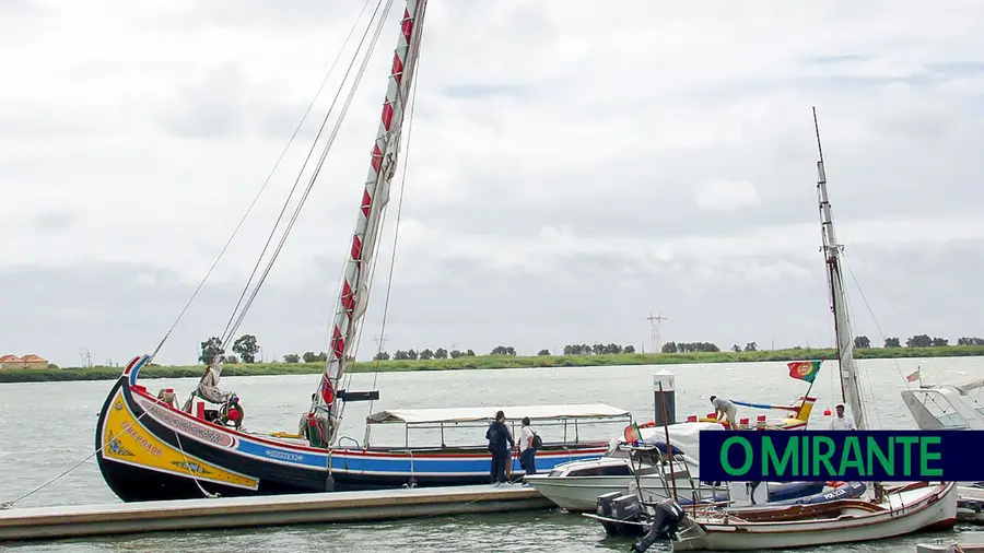 Reserva Natural do Estuário do Tejo foi classificada há 48 anos