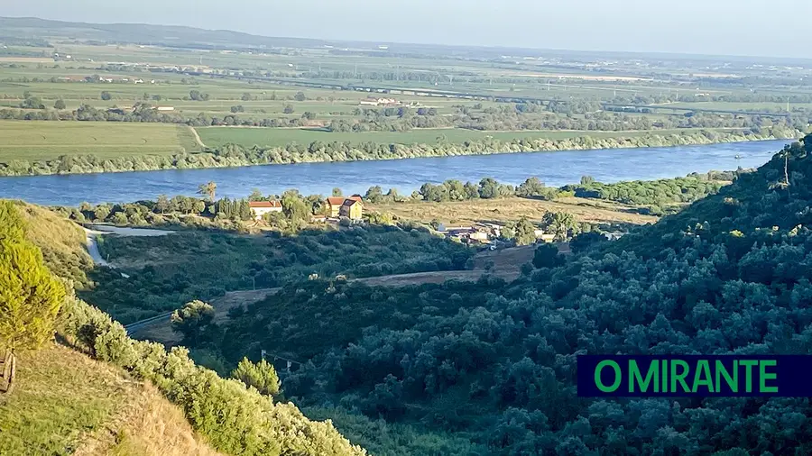 Tejo que levas as águas