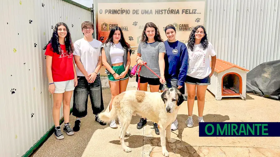 H2O em Arrouquelas recebe 200 jovens de todo o mundo para actividades de Verão