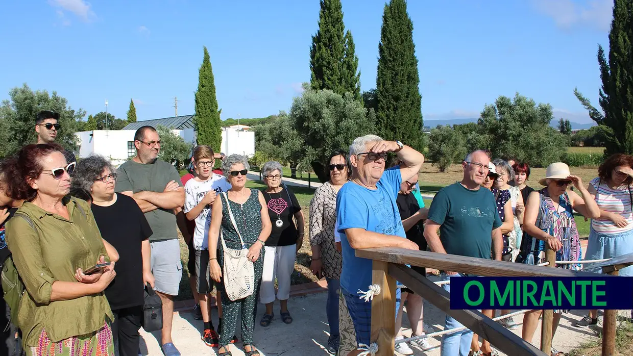 Visita guiada às ruínas romanas de Villa Cardílio