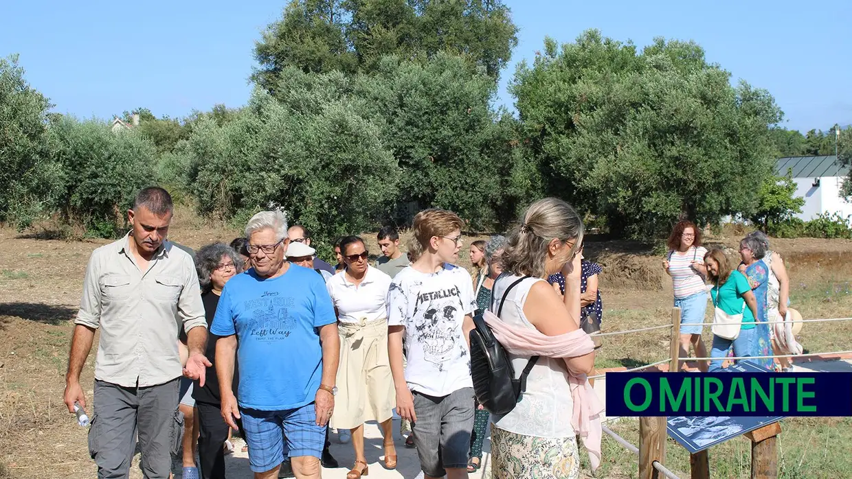 Visita guiada às ruínas romanas de Villa Cardílio