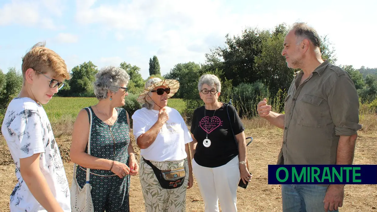 Visita guiada às ruínas romanas de Villa Cardílio