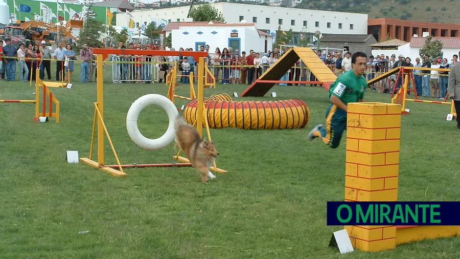 Abrantes recebe campeonatos europeus e mundiais de Agility em 2025 Abrantes recebe campeonatos europeus e mundiais de Agility em 2025