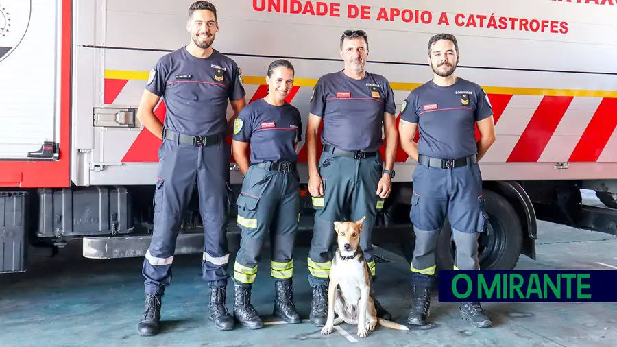 Bombeiros do Cartaxo têm um cão adoptado depois de um resgate animal