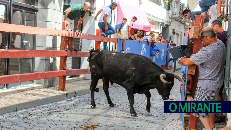 Largadas de toiros em Coruche provocam várias vítimas e uma delas tem 10 anos Largadas de toiros em Coruche provocam várias vítimas e uma delas tem 10 anos