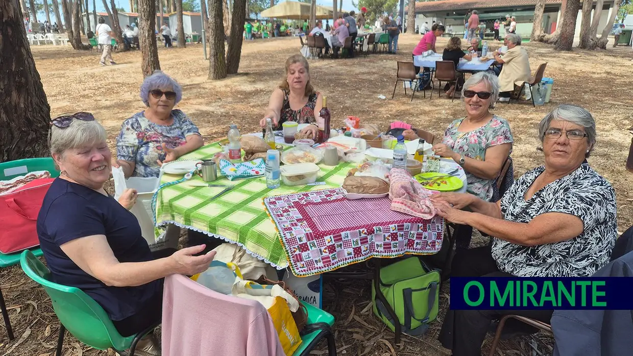 Benavente juntou cerca 900 idosos em mega piquenique