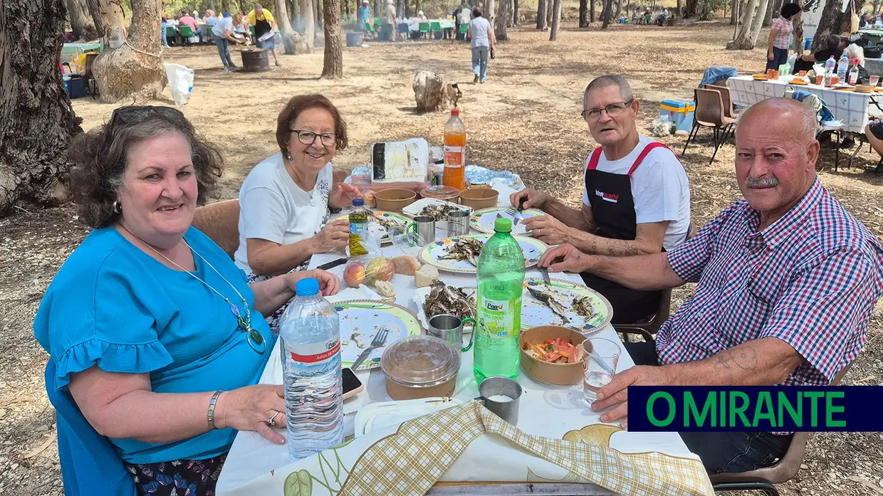 Benavente juntou cerca 900 idosos em mega piquenique